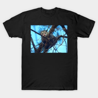 Tree Dweller T-Shirt